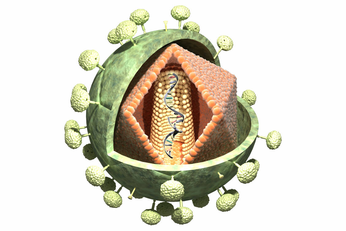 Das Kapsid von HIV hat eine konische Form und besteht aus genau 250 Hexameren und 12 Pentameren. In dieser stilisierten Dartellung sind es allerdings gelbe Kügelchen. / Foto: picture alliance