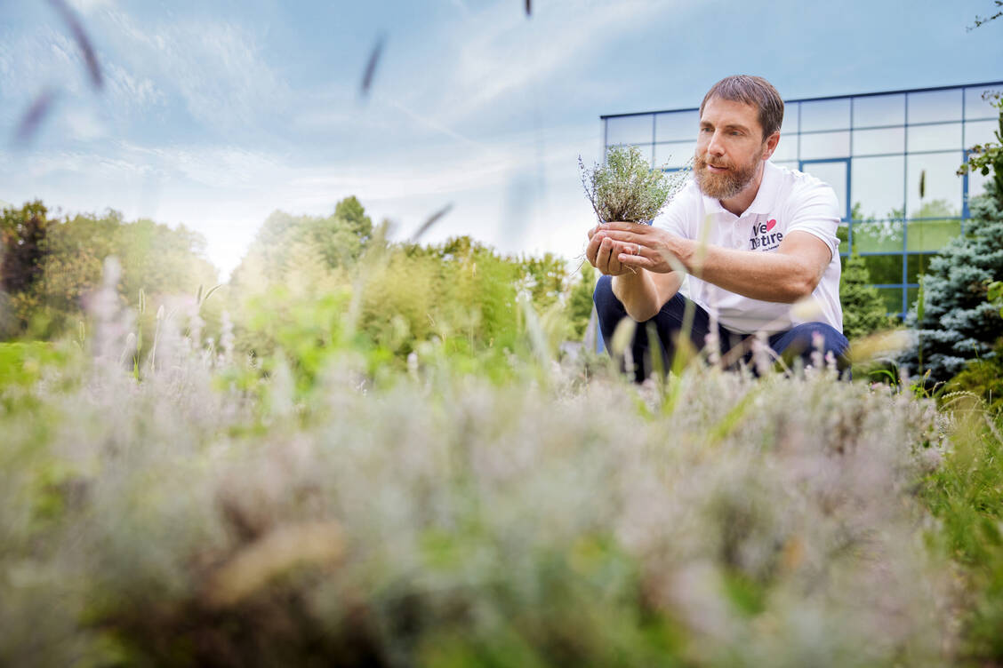 Geschäftsführer Mathias Hevert ist stolz auf die Bio-Zertifizierung des firmeneigenen Heilpflanzenanbaus – wesentlicher Baustein der Nachhaltigkeitsstrategie.  / © Hevert Arzneimittel
