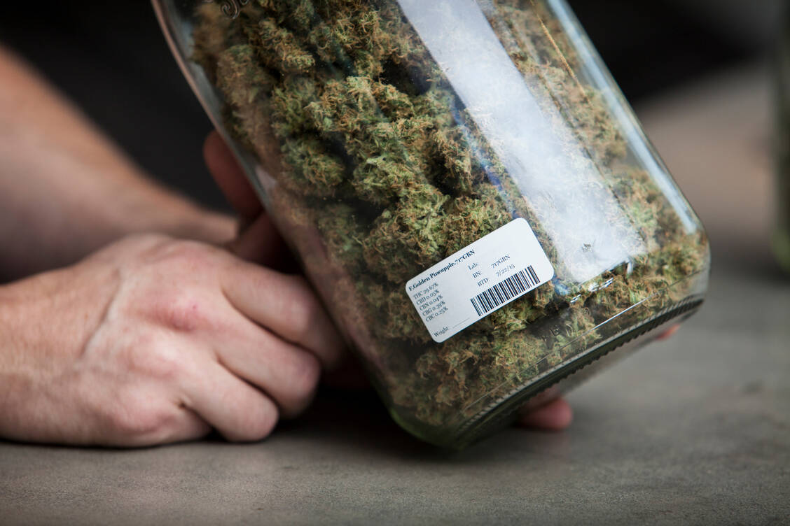Das Prüfzertifikat der Blüten sollte konkrete Ergebnisse der mikrobiologischen Prüfung enthalten; Ware mit auffälligen Prüfbefunden sollte abgelehnt werden, rät die DPhG. / Foto: Getty Images/Heath Korvola