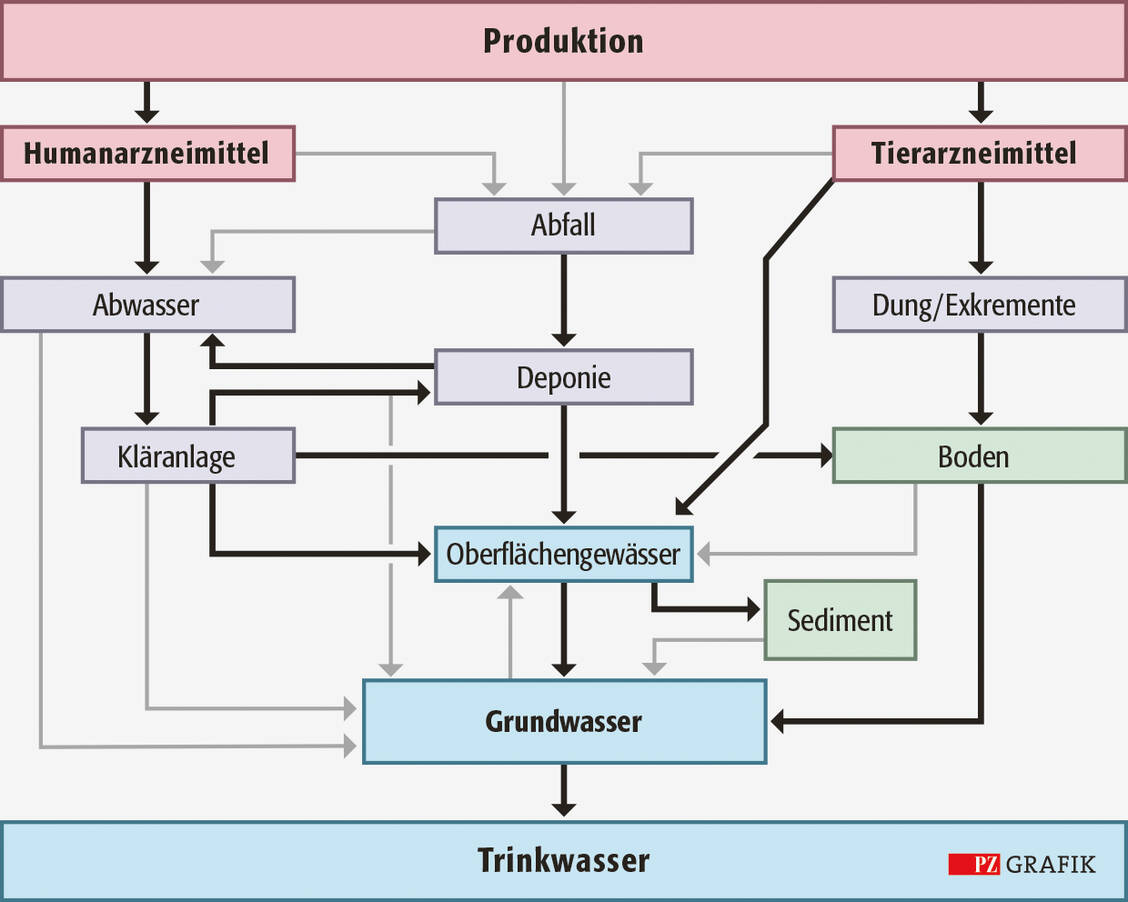 Grafik: Haupteinfuhrwege für Arzneistoffe und Hygieneprodukte in die Umwelt, vor allem ins Wasser; graue Pfeile: Nebenwege; modifiziert nach Hoyett, Z., (2017) CC BY 3.0 license. DOI: 10.5772/intechopen.70799 (23) / Foto: Stephan Spitzer