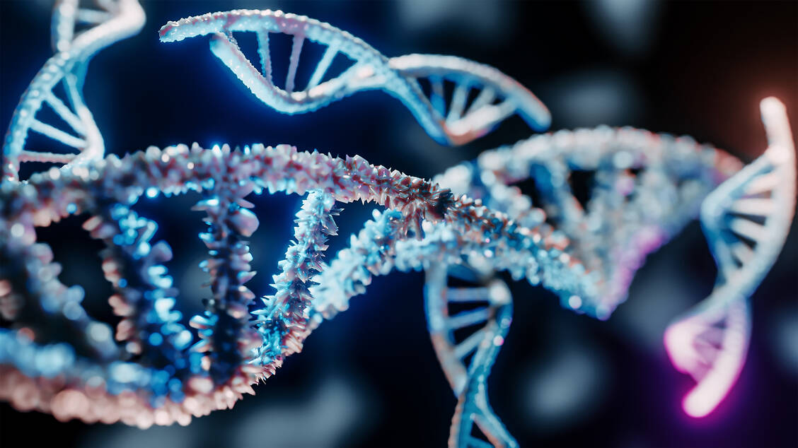 Die Bakterienart Klebsiella pneumoniae nutzt die Reverse Transkriptase, um neue DNA zu erzeugen. Diese codiert für Proteine, die die Zelle vor einer Virusvermehrung schützen. / Foto: Getty Images/	byakkaya