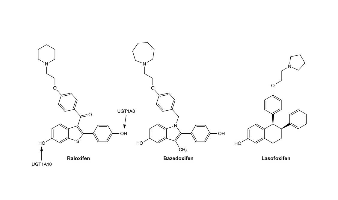 Abbildung 5: Glucuronidierung von Raloxifen (links); Formeln von Bazedoxifen und Lasofoxifen / Foto: Mario Wurglics