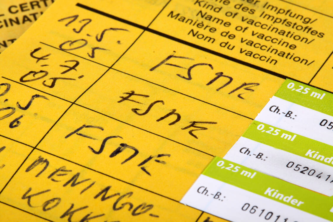 Drei Impfungen komplettieren die Grundimmunisierung gegen FSME. Eine Auffrischung wird danach (je nach Alter und Impfstoff) alle drei bis fünf Jahre empfohlen. / Foto: Adobe Stock/Klaus Eppele