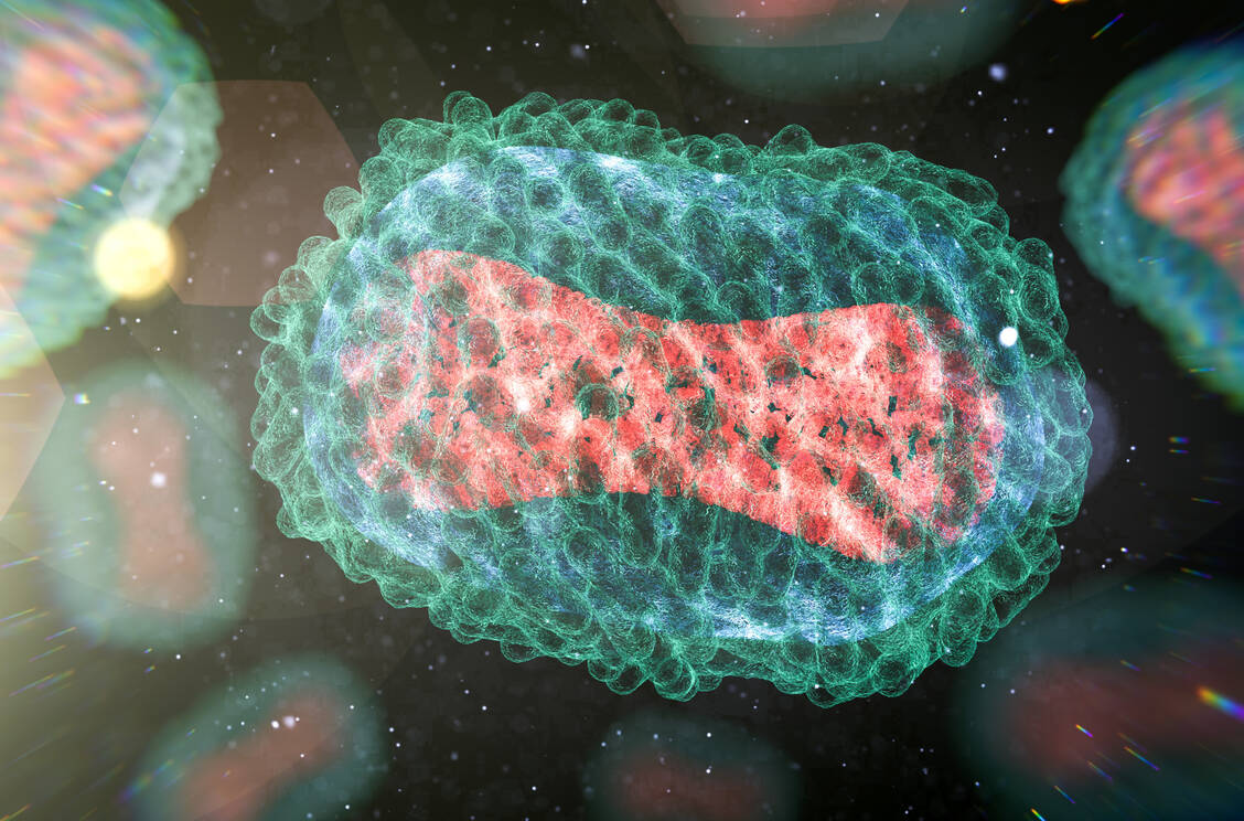 Bislang ist das Mpox-Virus noch nicht so stark mutiert, dass die verfügbaren Virostatika wirkungslos geworden wären. Tecovirimat, Cidofovir und Brincidofovir sind weiter wirksam. / Foto: Getty Images/Science Photo Library