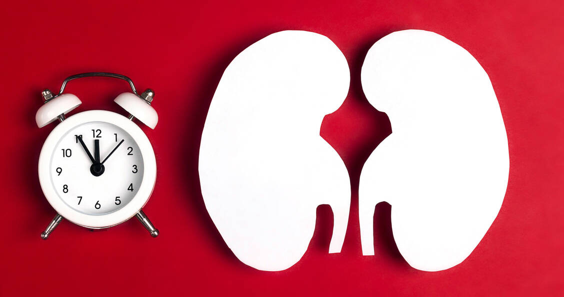 5 vor 12 oder sogar noch früherer Alarm: Entzündete Nieren sind möglicherweise ein Frühwarnzeichen für schwere Covid-19-Verläufe. / Foto: Adobe Stock/WindyNight