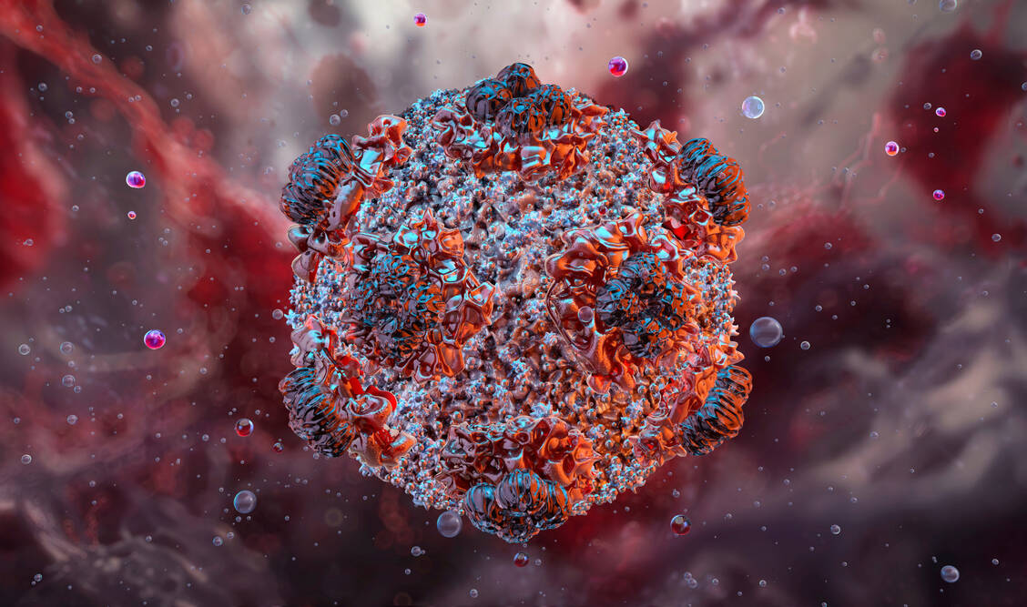 Hantaviren besitzen ein einzelsträngiges RNA-Genom. Spezifische zugelassene antivirale Wirkstoffe gibt es hierzulande nicht. / © GettyImages/Ruslanas Baranauskas/Science Photo Library