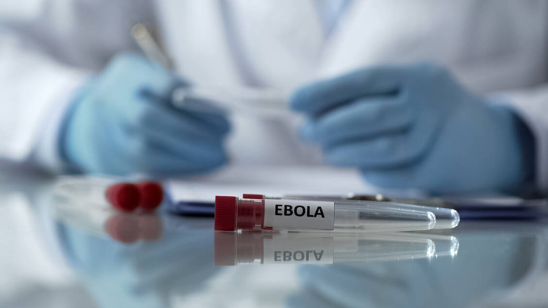 Das seltene Bundibugyo-Virus aus der Gattung Ebolavirus, für das es weder einen Impfstoff noch eine Therapie gibt, macht die Lage besonders schwierig einzudämmen. / © Getty Images/Motortion