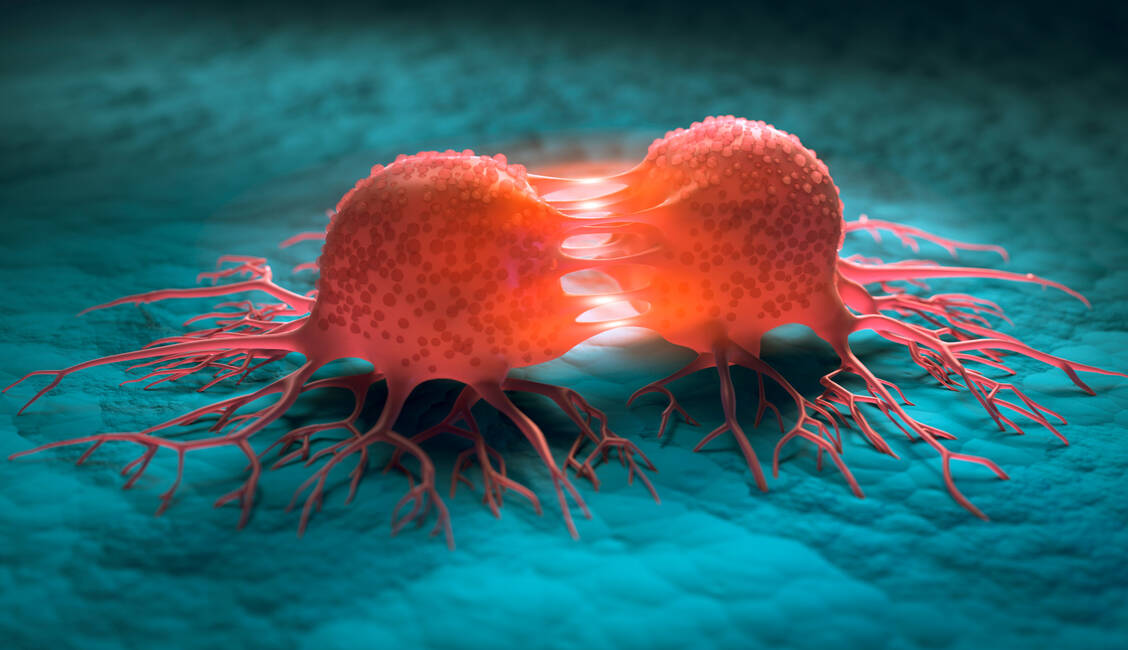 Manchen Krebsarten liegt eine Mutation im Enzym Isocitrat-Dehydrogenase 1 (IDH1) zugrunde. Dieses adressiert der neue IDH1-Inhibitor Ivosidenib. / Foto: Adobe Stock/peterschreiber.media
