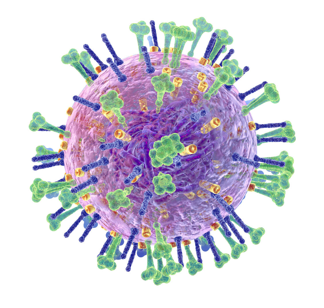Die Oberflächen-Glykoproteine Hämagglutinin (H, grün) und Neuraminidase (N, blau/gelb) der Influenza-A- und -B-Viren sind Schlüsselproteine für die Virusreplikation. / Foto: Adobe Stock/www.axelkock.de