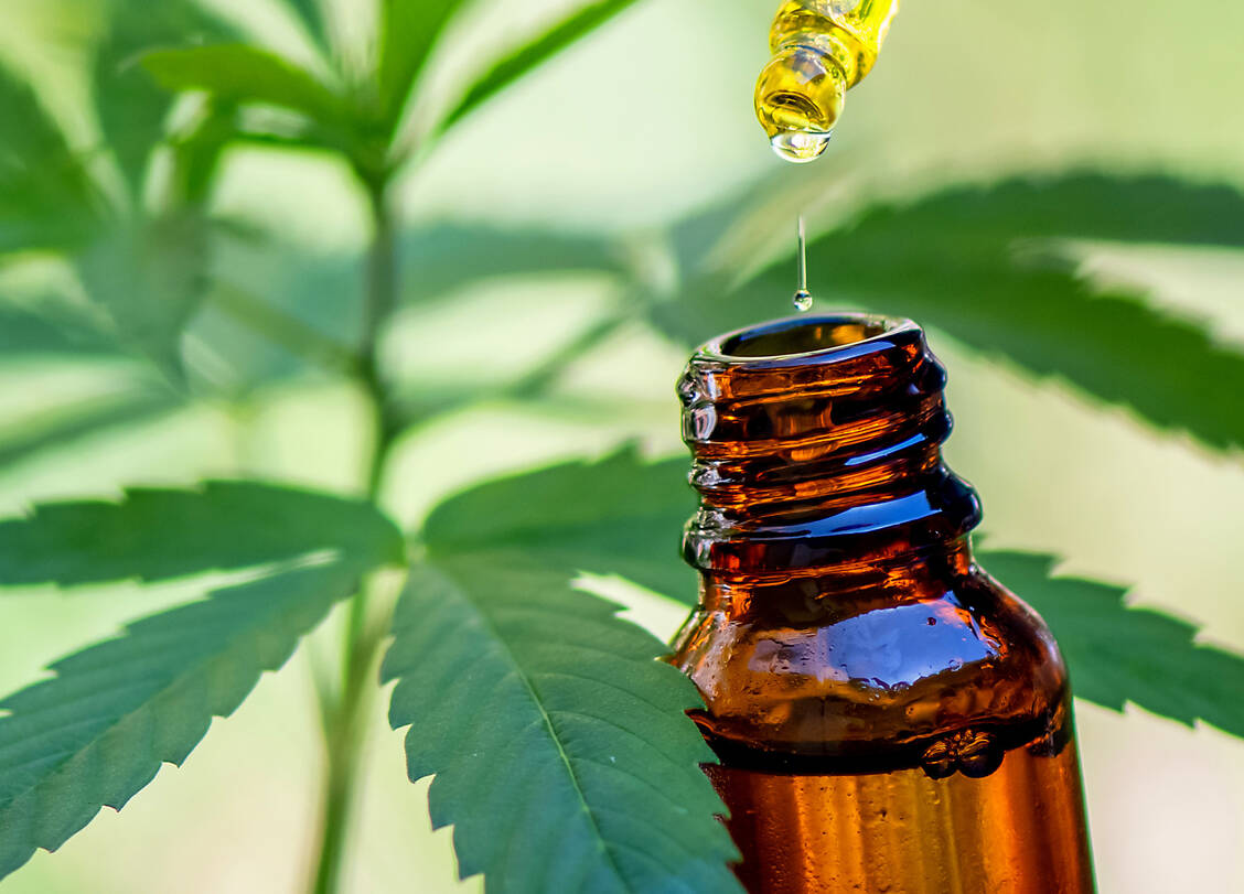 Einer aktuellen Metaanalyse zufolge haben Cannabis-Präparate geringe bis gar keine Effekte auf chronische Schmerzen.  / © Adobe Stock/EKKAPON