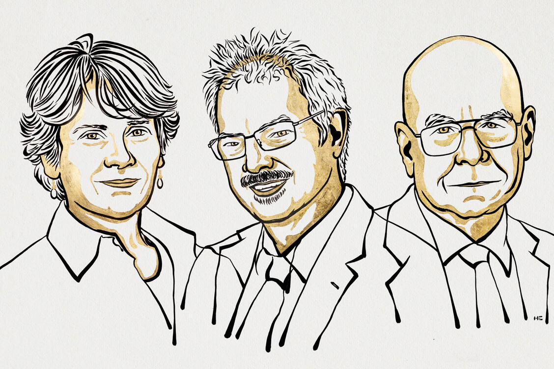 Carolyn Bertozzi, Morten Meldal und Barry Sharpless (von links nach rechts) teilen sich in diesem Jahr den Chemie-Nobelpreis.  / Foto: Nobel Prize/Niklas Elmehed