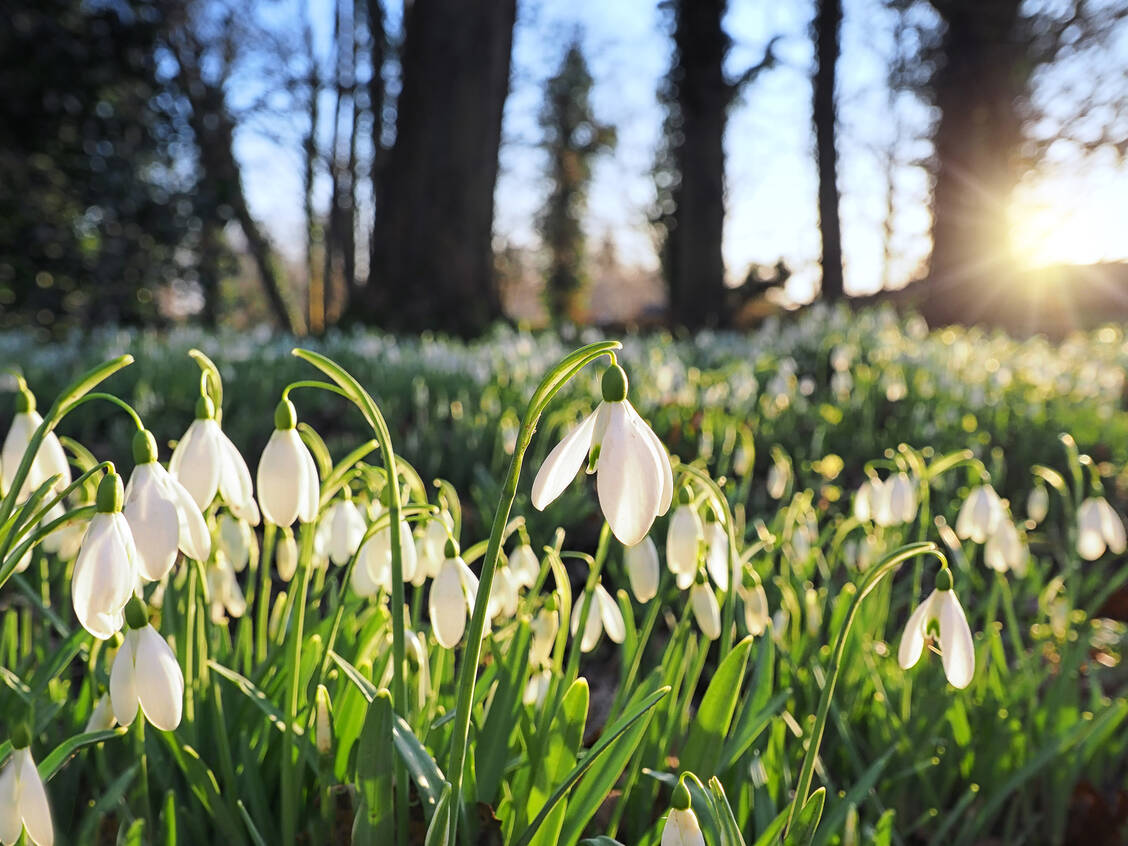 Der beste Tipp gegen Wetterfühligkeit: Viel Rausgehen in die Natur. Das hilft dem Körper, sich bei Wetterwechseln anzupassen. / © Getty Images/Jackie Bale