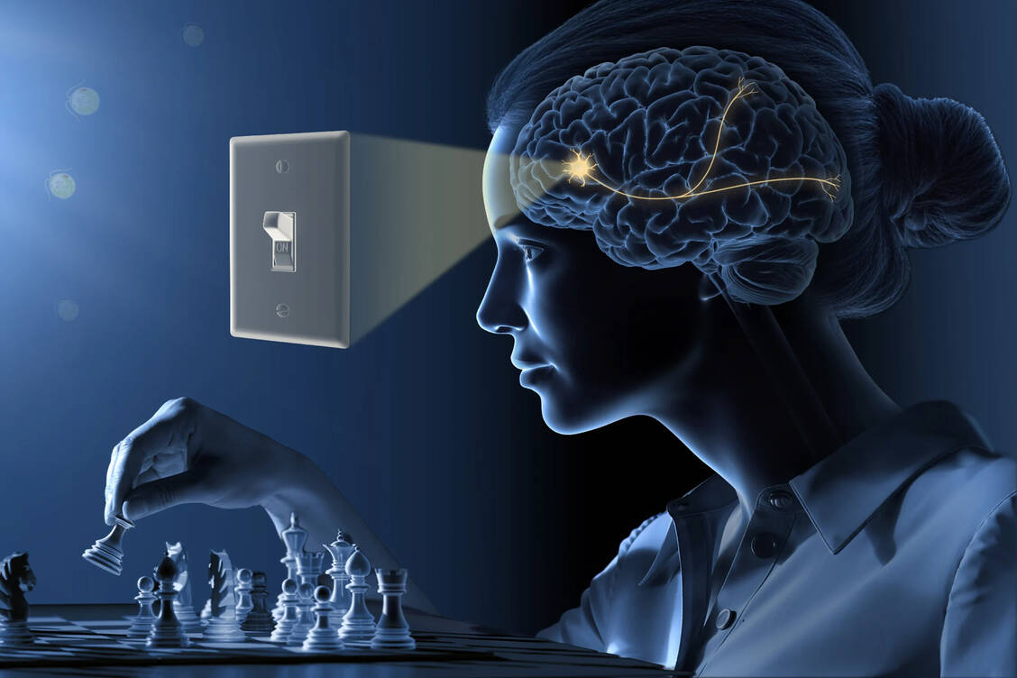 Illustration zum Nobelpreis-Thema 2026 / © The Nobel Committee for Physiology or Medicine/Mattias Karlén