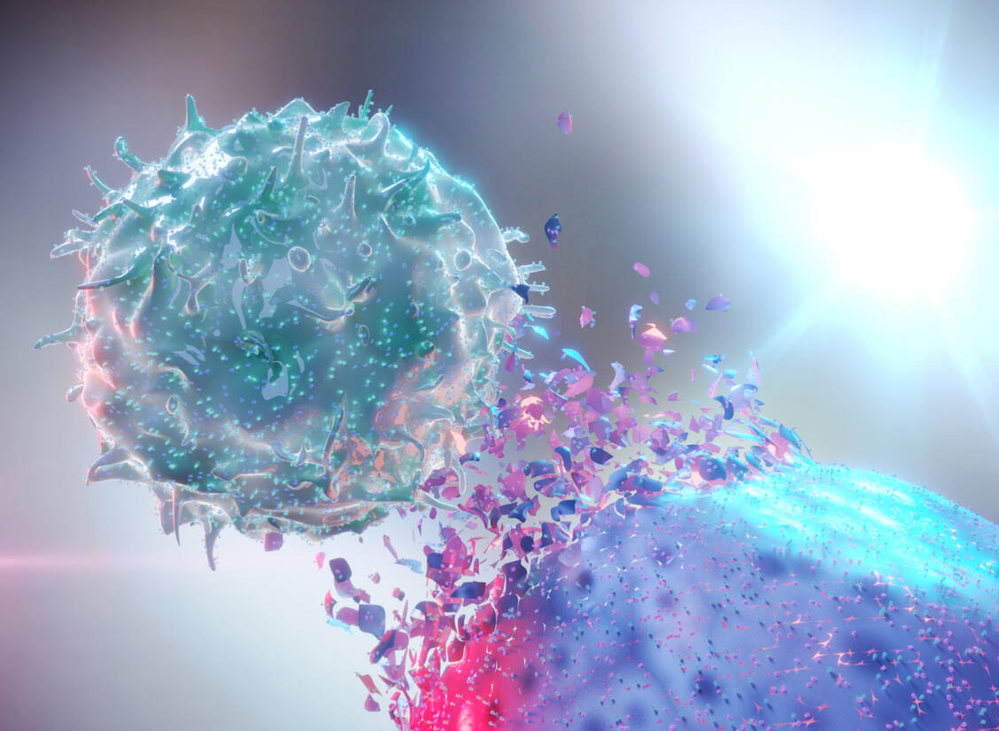Jede Krebszelle hat bestimmte Oberflächenmerkmale, an denen sie erkannt und von Immunzellen attackiert werden kann. / Foto: Getty Images/Marcin Klapczynski