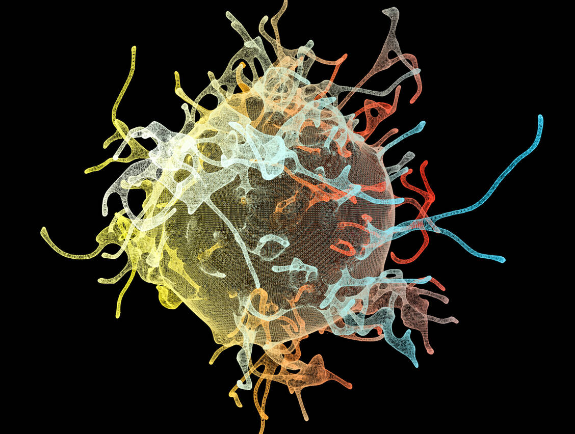 Gegen bestimmte Oberflächenmerkmale (Neoantigene) von Krebszellen richtet sich der individualisierte mRNA-Impfstoff, den Moderna und MSD gemeinsam entwickeln. / Foto: Getty Images/Kateryna Kon/Science Photo Library