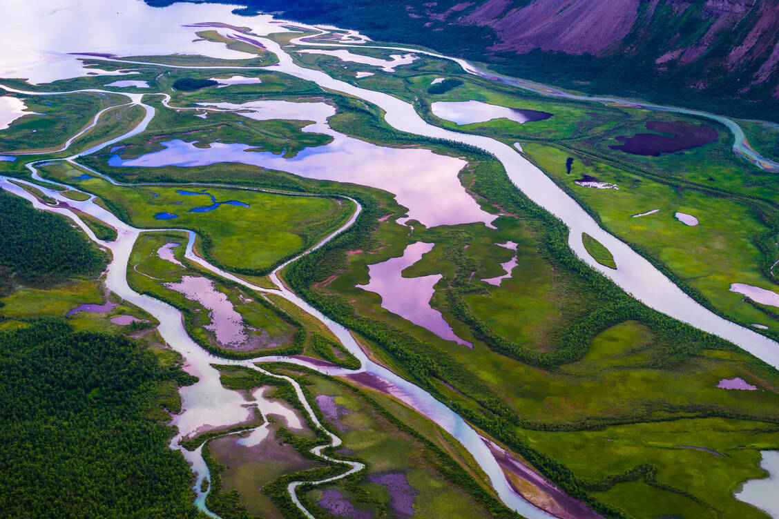Wie ein Flussdelta breitet sich derzeit die SARS-CoV-2 Variante Delta in Großbritannien aus.  / Foto: Getty Images/David Hjort Blindell/EyeEm
