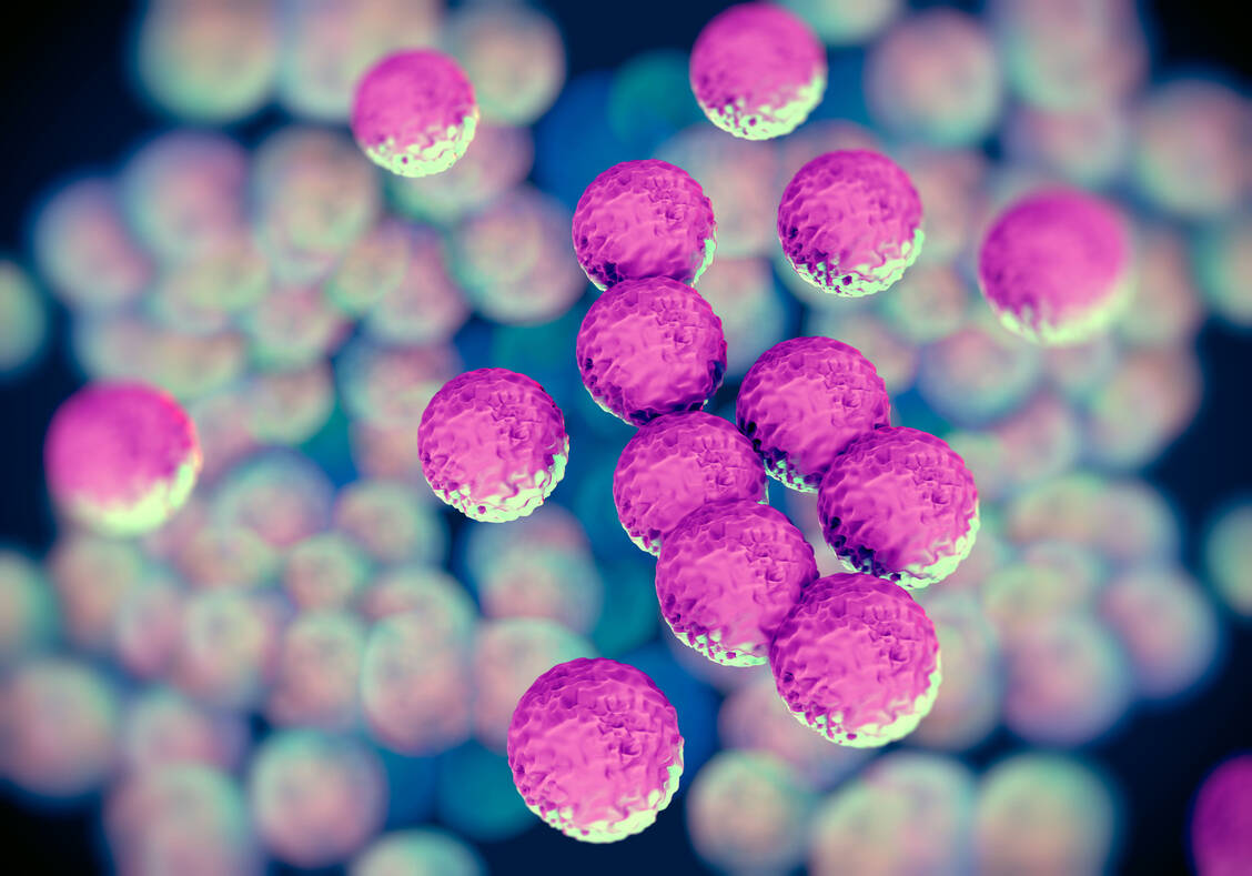 Um zu verhindern, dass jedes Jahr mehrere Tausend Menschen weltweit an MRSA-Infektionen sterben, werden dringend neue Wirkstoffe benötigt. / Foto: Adobe Stock/PRB ARTS