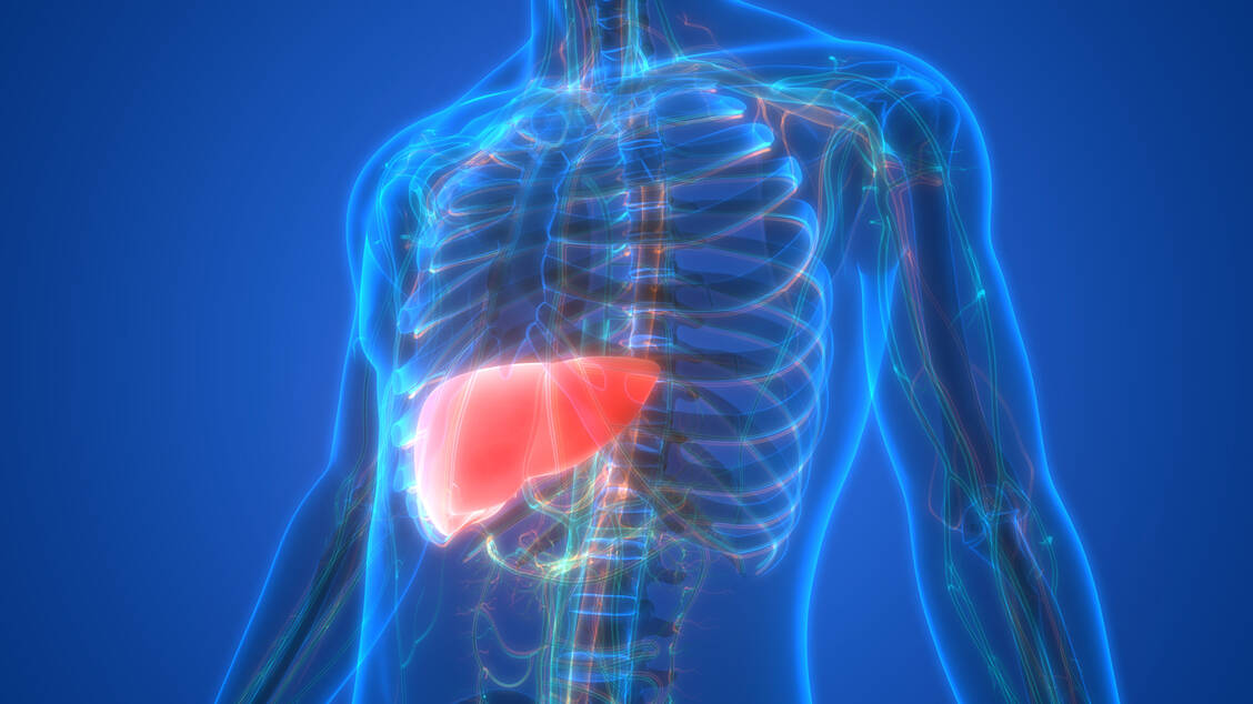 Das Inkretinmimetikum Semaglutid wurde in der EU nun auch für die Behandlung der metabolisch-assoziierten Steatohepatitis (MASH) zugelassen. / © GettyImages/ magicmine