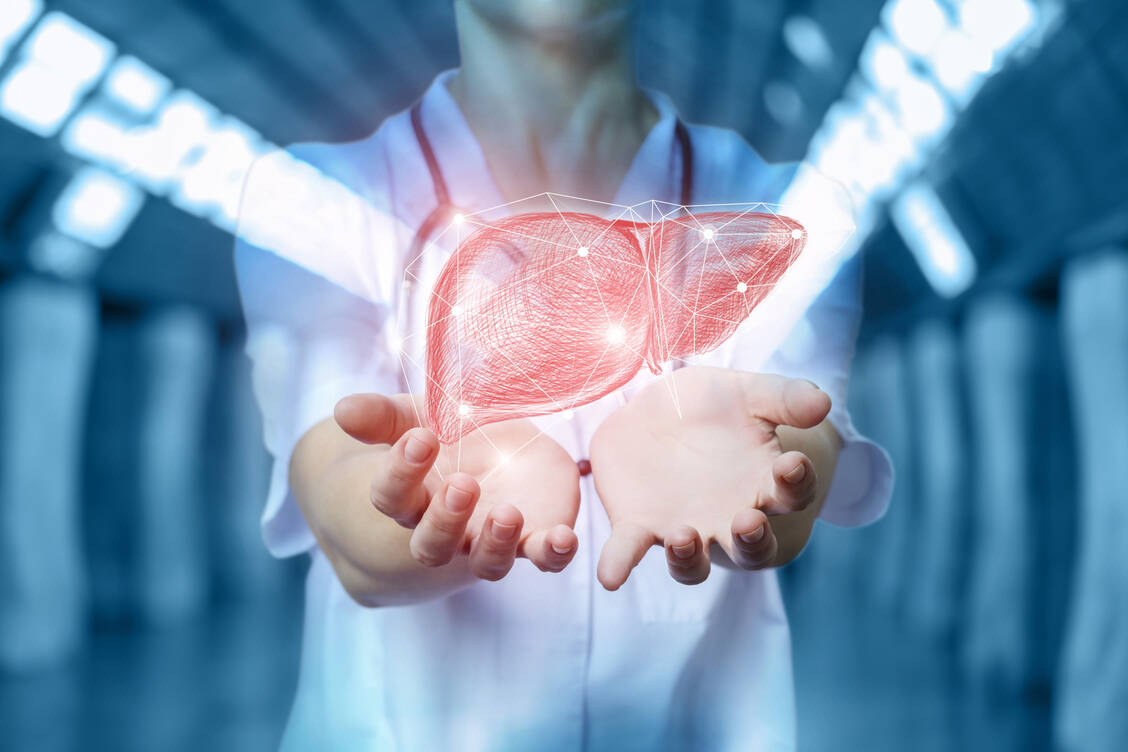 Ziel aller bisher verfügbaren Sirane ist die Leber. Nur in Hepatozyten kann die siRNA ihre Wirkung entfalten. / Foto: Adobe Stock/natali_mis