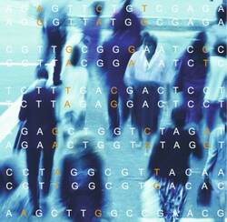 Eine Genotypisierung und anschließende Dosisanpassung kann Arzneimittelneben­wirkungen verhindern. Für bestimmte Wirkstoffe wie etwa Irinotecan wäre sie standard­mäßig zu empfehlen.
<p class="fotonachweis">Foto: genomics.energy.gov</p>