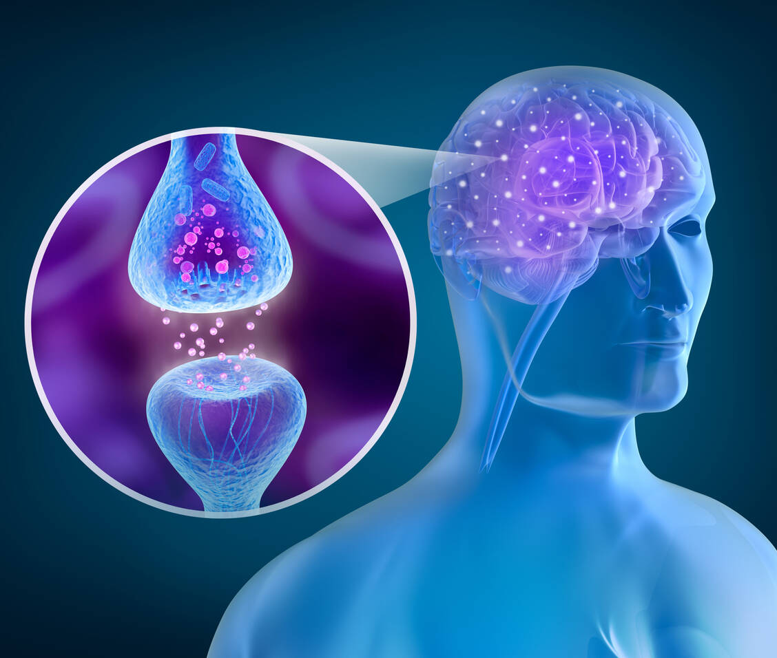 Bei einem Mangel an aromatischer L-Aminosäure-Decarboxylase (AADC) ist die Kommunikation der Nervenzellen beeinträchtigt. / Foto: Shutterstock/Alex Mit