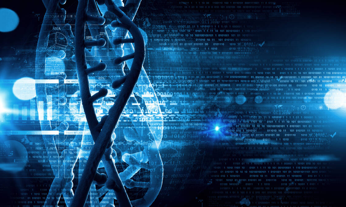 In einem neu erstellten Referenzgenom sind bislang Genome von 47 verschiedenen Menschen zusammen dargestellt – es sollen 350 Genome werden.  / Foto: Adobe Stock/Sergey Nivens