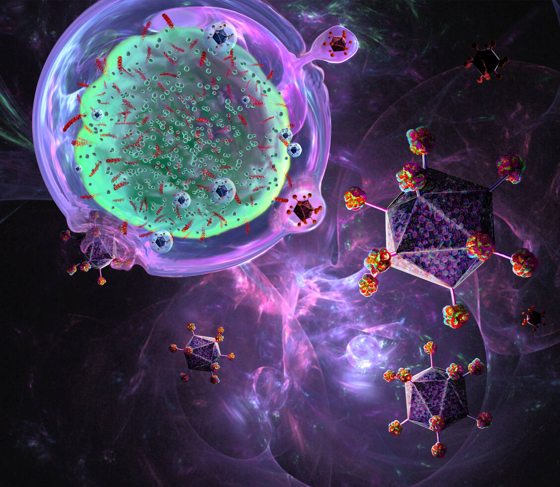CAR-T-Zellen sind mittels Retro- oder Lentiviren genveränderte T-Zellen. Beim Einfügen der genetischen Information können Onkogene aktiviert werden. / Foto: Getty Images/Science Photo Library/Keith Chambers