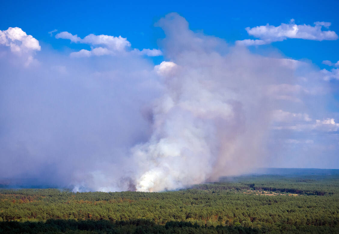 Durch den Waldbrand in Mecklenburg-Vorpommern werden erhebliche Mengen Feinstaub freigesetzt. Auch in größerer Entfernung vom Brandherd sollten empfindliche Personen daher Anstrengungen im Freien vermeiden. / Foto: picture alliance/dpa