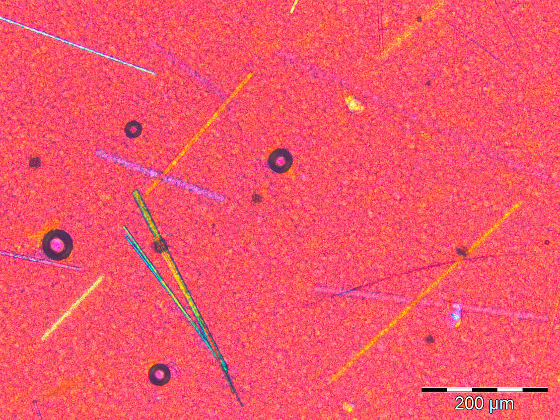 Nadelförmige Kristalle des Prednisolon-Sesquihydrats in Basiscreme DAC (10-fach vergrößert) / Foto: ZL