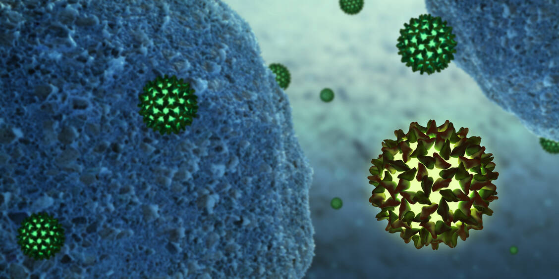 Ist das Immunsystem geschwächt, können schlummernde Infektionen mit dem Hepatitis-B-Virus wieder aktiv werden. / Foto: Adobe Stock/Luk Cox