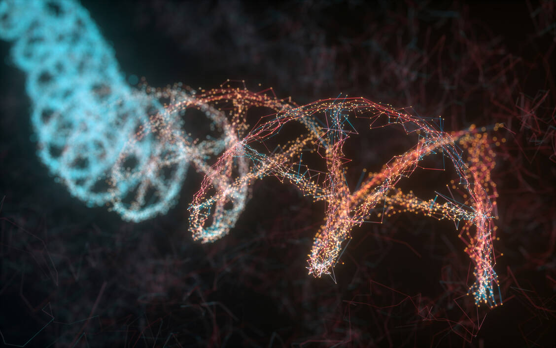 Um sich vermehren zu können, muss das HI-Virus sein in DNA umgeschriebenes Erbgut in die Wirts-DNA integrieren. Integrase-Inhibitoren verhindern das. / © Getty Images/KTSDesign/Science Photo Library