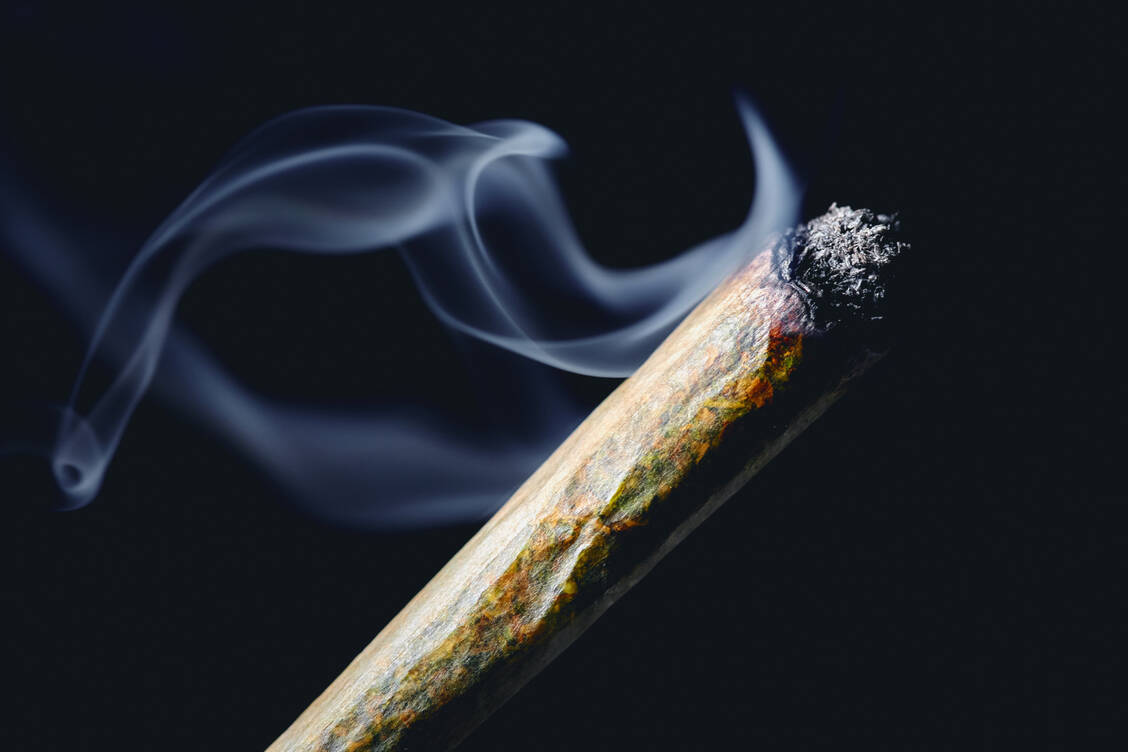 Lauterbachs Liberalisierungspläne sehen vor, Cannabis im Betäubungsmittelgesetz von der Liste der verbotenen Substanzen zu streichen. Für Erwachsene ab 18 Jahren soll demnach der Besitz von 25 Gramm erlaubt werden, ebenso der private Anbau von maximal drei Pflanzen. / Foto: Adobe Stock/Michael