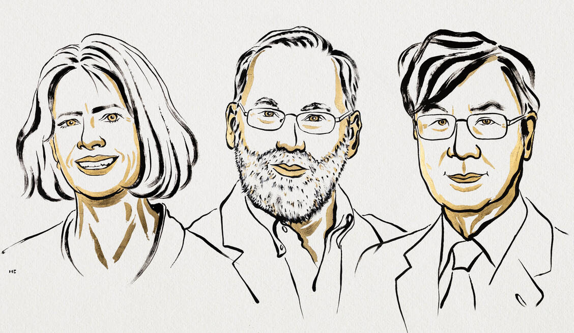Mary E. Brunkow, Fred Ramsdell, Shimon Sakaguchi / © The Nobel Committee for Physiology or Medicine. Ill. Niklas Elmehed