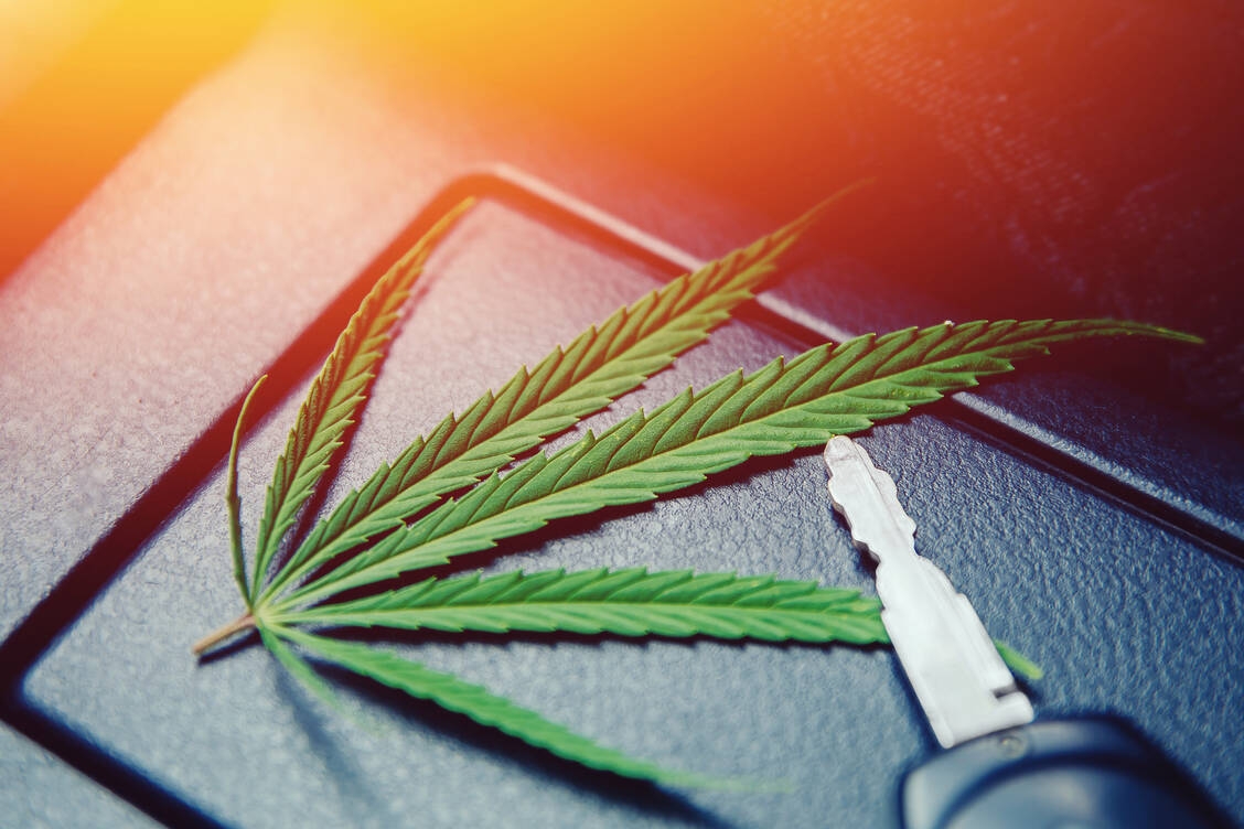 Zwar ist Autofahren nach Applikation von medizinischem Cannabis in Deutschland grundsätzlich erlaubt, doch gehört eine gesunde Selbsteinschätzung zur eigenen Fahrtüchtigkeit dazu. Foto: Fotolia/Parilov