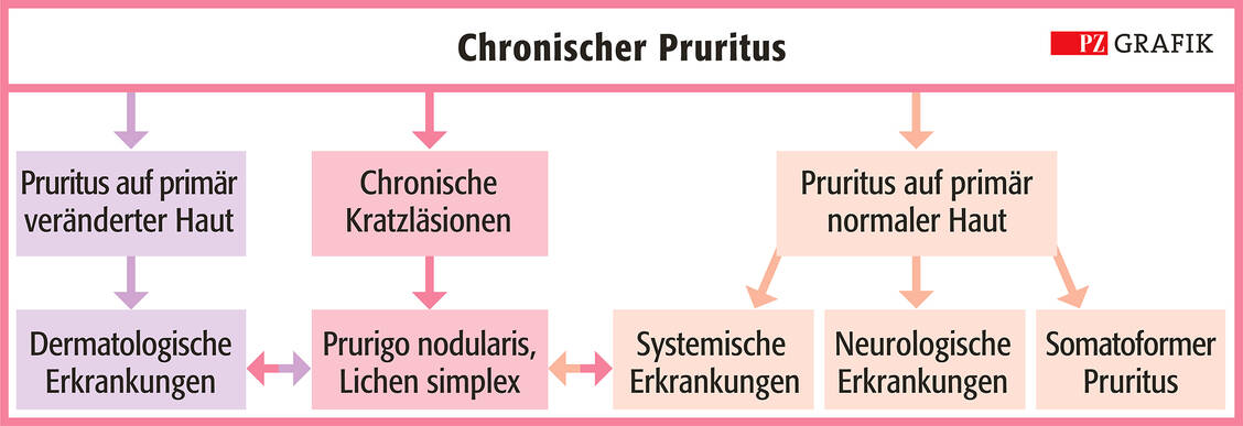 Abbildung 1: Klinische Einteilung des chronischen Pruritus / Foto: Stephan Spitzer