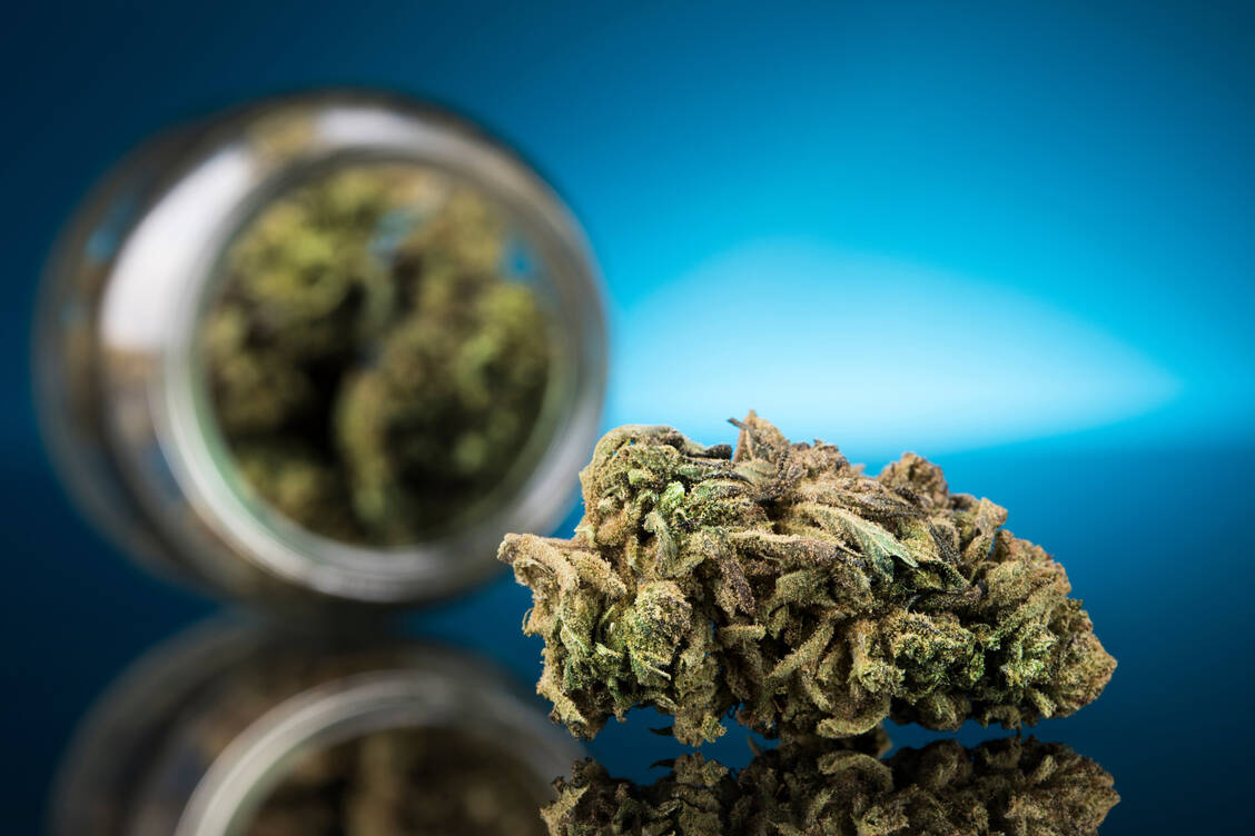 Seit der Legalisierung von medizinischem Cannabis boomen Plattformen, die Privatrezepte per einfachem Fragebogen-Prinzip anbieten. / © Adobe Stock/Sebastian Duda
