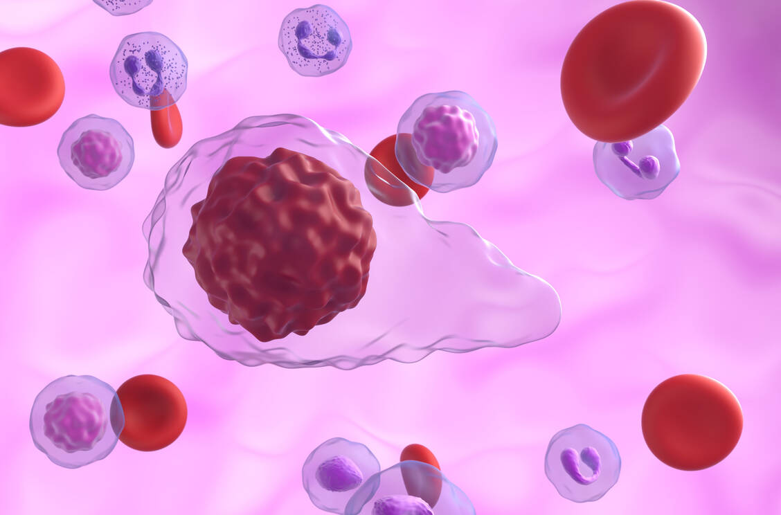 Myelofibrose ist eine seltene Erkrankung der blutbildenden Zellen. Sie betrifft schätzungsweise einen von 100.000 Menschen in der EU. / Foto: Adobe Stock/Laszlo