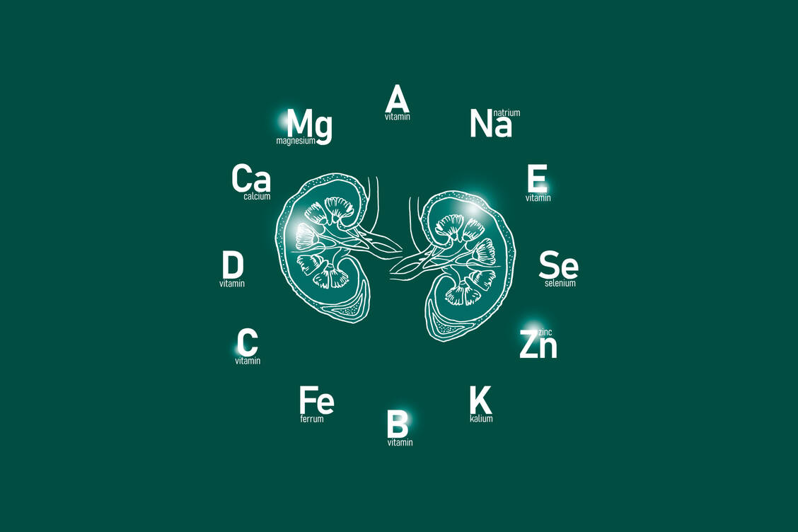 Die Spiegel verschiedener Elektrolyte, vor allem von Natrium, Kalium und Calcium, müssen unter einer Furosemid-Therapie genau im Blick behalten werden. / Foto: Adobe Stock/mi_viri