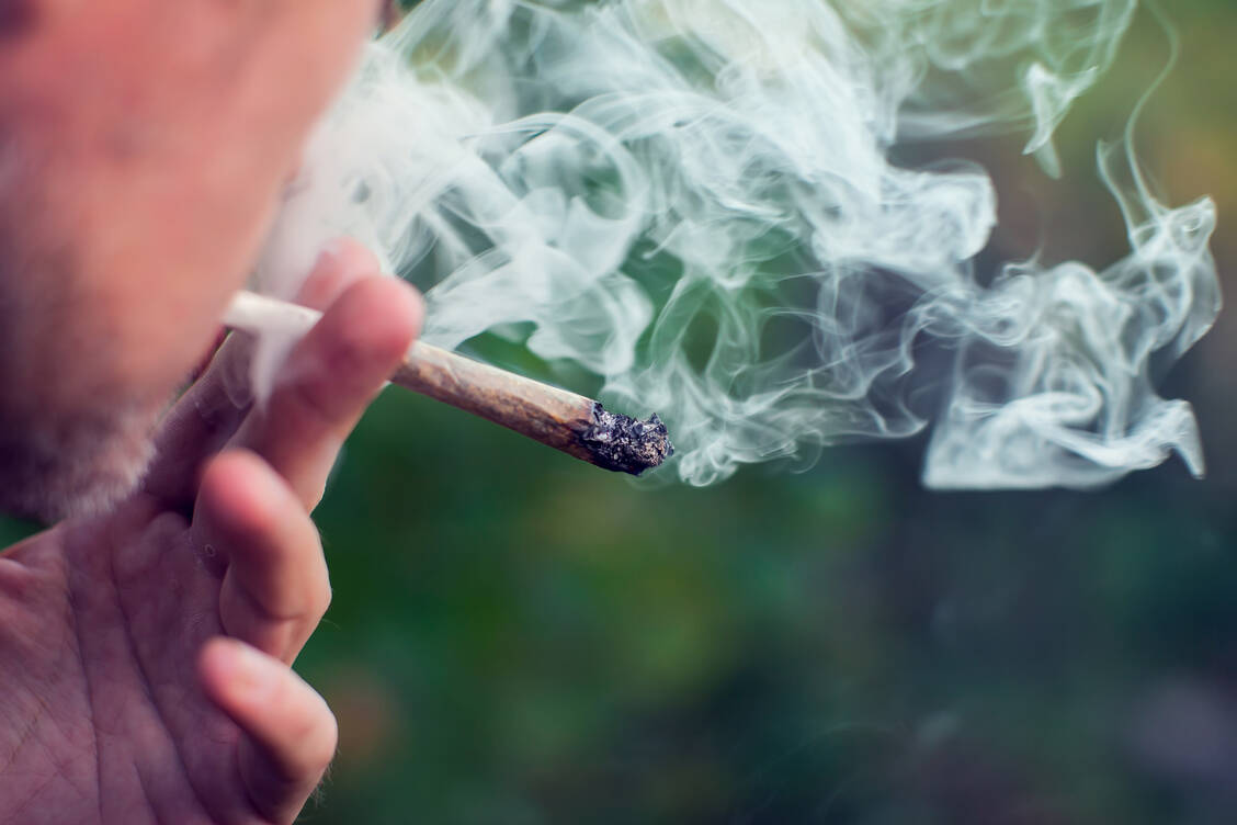 Kann sichergestellt werden, dass der Anbau und Besitz von Cannabis ausschließlich für den privaten Gebrauch erfolgen? Dieser Frage ging ein Gutachten nach, das der CSU-Abgeordnete Stephan Pilsinger in Auftrag gegeben hatte. / Foto: Adobe Stock/Aleksej