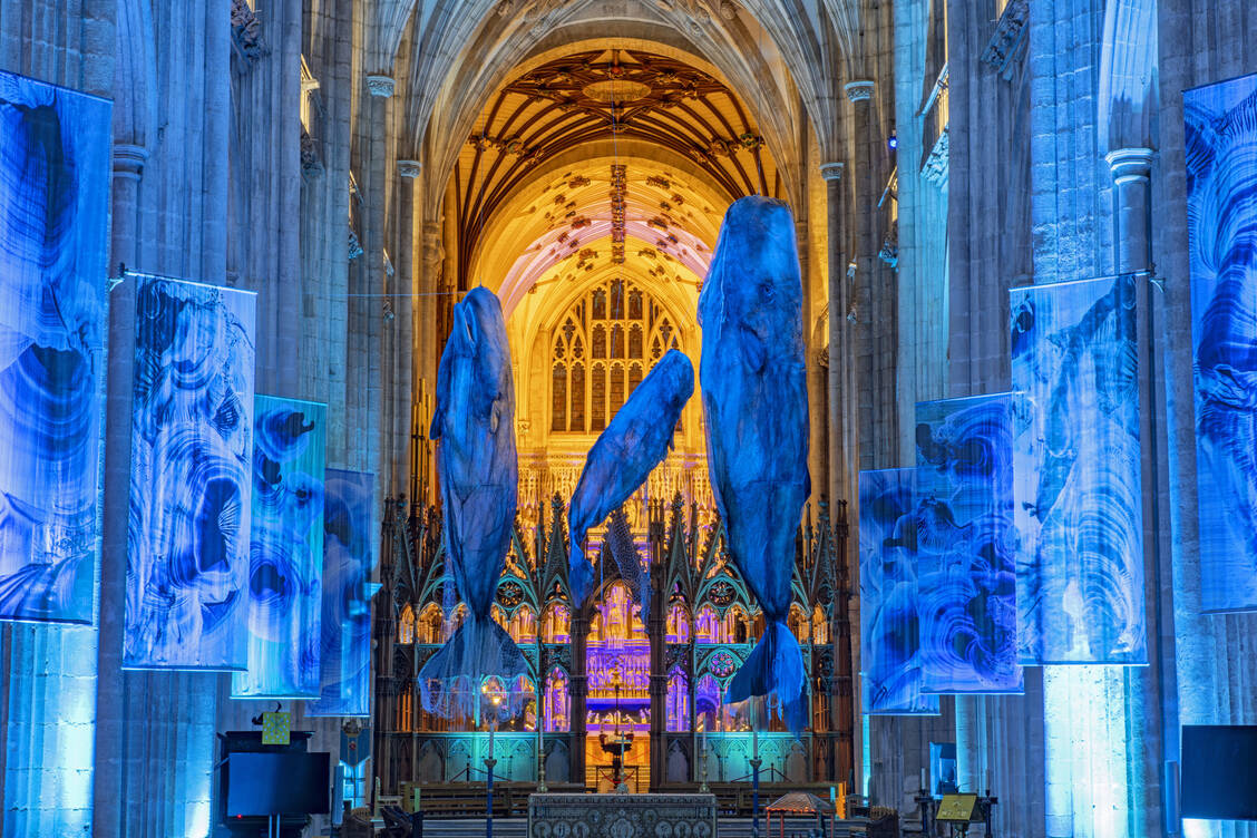 Zwischen Himmel und Meer: Ein tierisches Kunstwerk ziert gerade die Kathedrale von Winchester. / © Winchester Cathedral /Simon Newmann