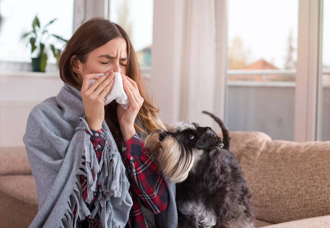 Prinzipiell können sich auch Haustiere wie Hunde und Katzen mit dem Coronavirus infizieren. Eine Infektion erfolgt dabei in der Regel vom Mensch auf das Tier.  / Foto: Adobe Stock/Budimir Jevtic