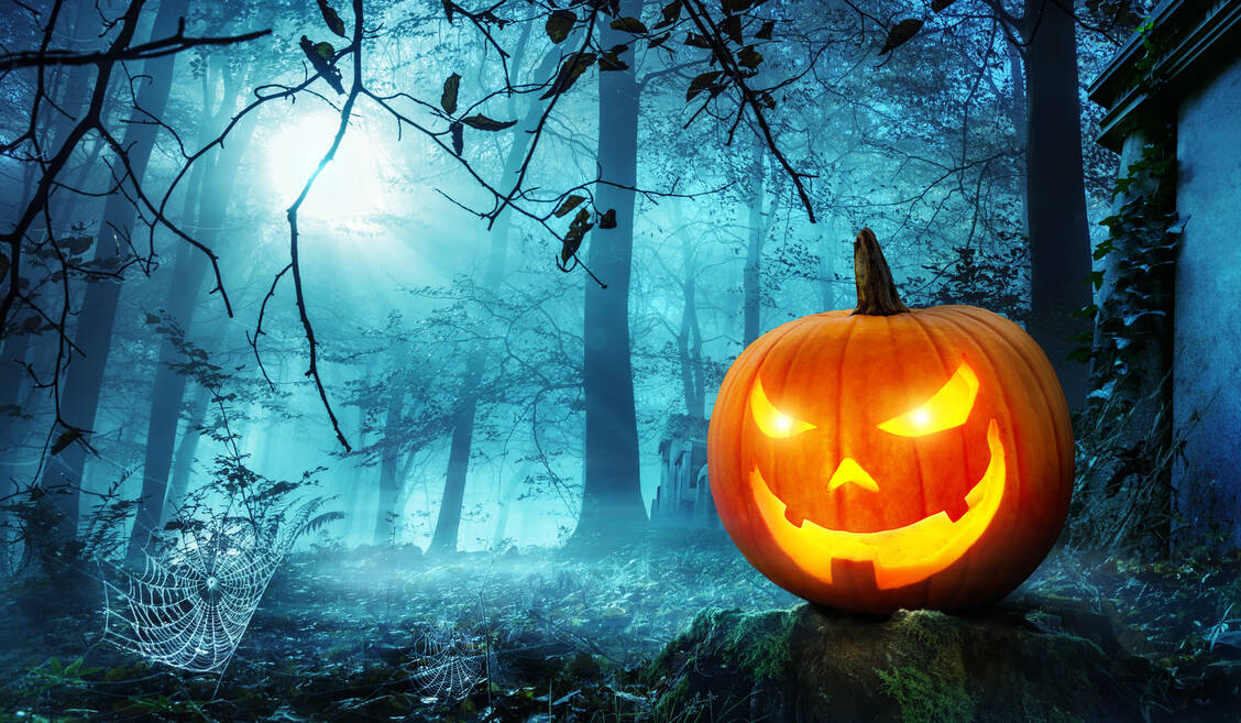 Halloween-Zeit ist Kürbis-Zeit.  / Foto: Adobe Stock/Smileus