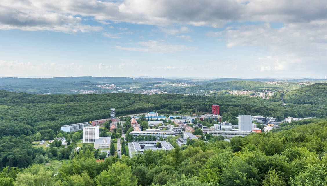 Der Campus Saarbrücken der Universität des Saarlandes liegt mitten im Stadtwald. / © Adobe Stock/saravicus