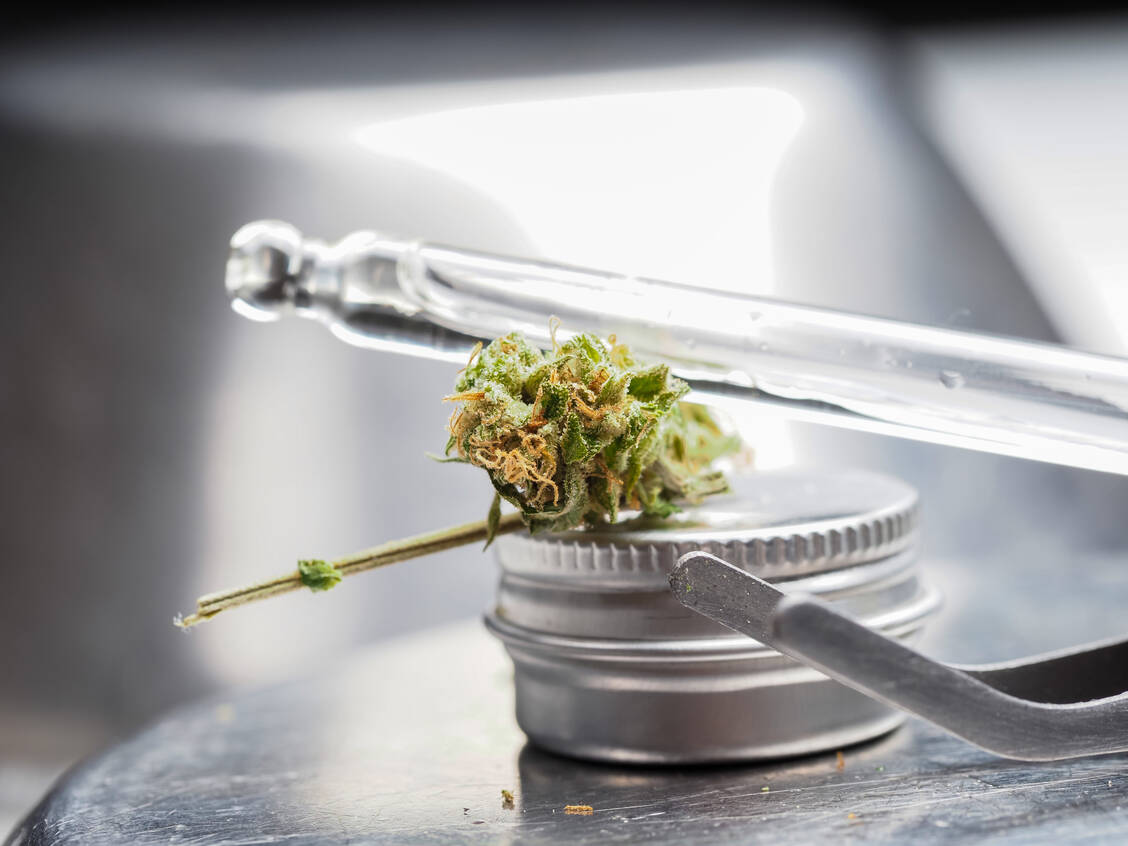 Aus Sicht der DPhG sind Cannabisextrakte den Blüten vorzuziehen. Dafür gibt es zahlreiche Gründe. / © Adobe Stock/Elroi
