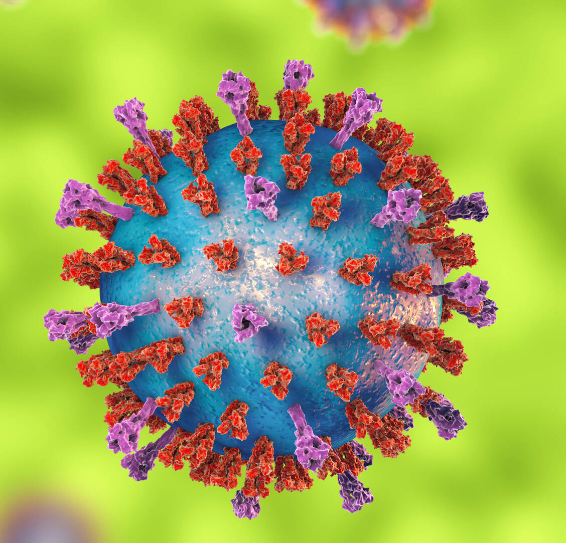 RSV gehört wie SARS-CoV-2 zu den RNA-Viren. / Foto: Adobe Stock/Kateryna_Kon