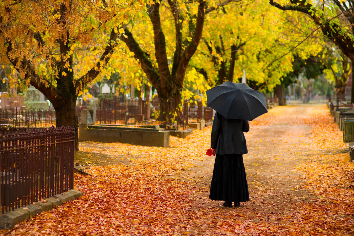 Friedhöfe können Städte als schöne Parks bereichern. / Foto: Adobe Stock/Ashley Whitworth