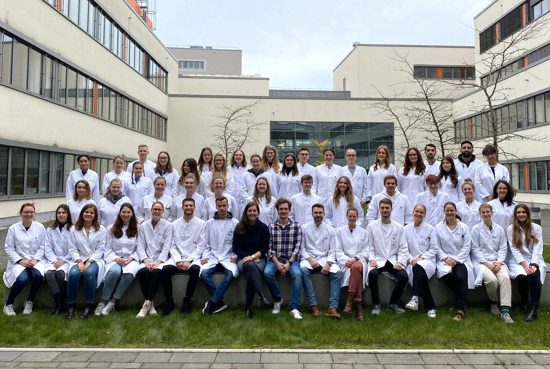 Die Pharmaziestudierenden des aktuellen Abschlusssemesters der Universität Münster haben vier Semester lang an eigenen Forschungsprojekten gearbeitet.  / Foto: Elina Schröder