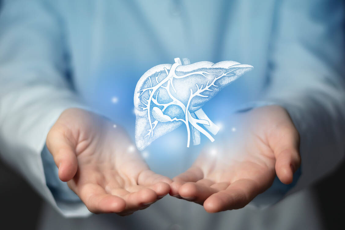 Die primär biliäre Cholangitis (PBC) ist eine Autoimmunerkrankung der Leber. Antikörper zerstören die Cholangiozyten, die die Wände der intrahepatischen Gallengänge bilden. In der Folge kommt es zu einer fortschreitenden Leberentzündung bis hin zum Organversagen. / © Getty Images/mi-viri