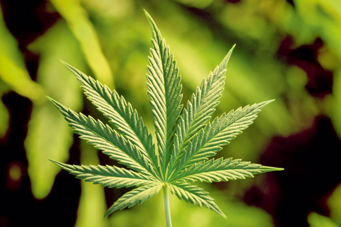 Im Pamir-Gebirge wurden in Gräbern Räuchergefäße gefunden, die Cannabis-Überreste enthielten – mit relativ hohem THC-Anteil. / Foto: Fotolia/yellowj