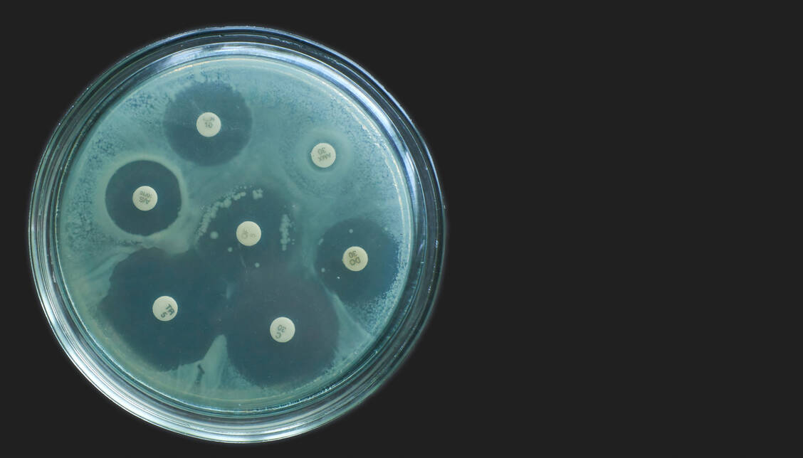 Resistenzen können auch durch nicht antibiotische Arzneimittel begünstigt werden. / © Adobe Stock/Nicolae